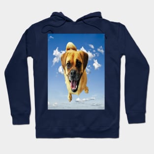 Happy dog Hoodie